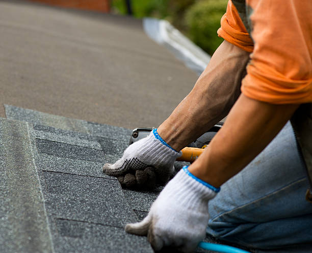 Best Roof Maintenance Services  in Verdigris, OK